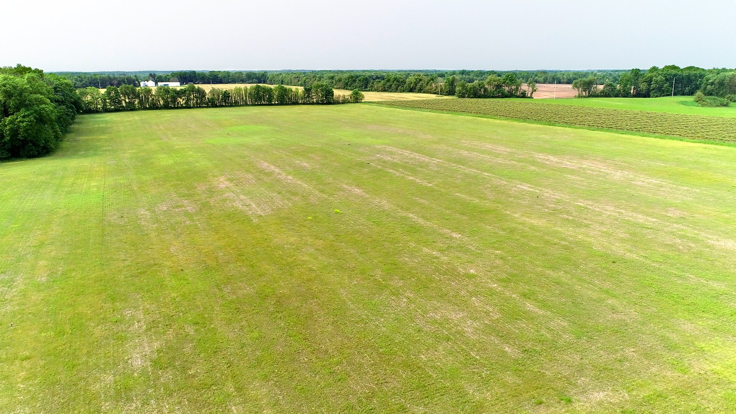 Van Buren County, Michigan farmland - LAND AUCTION - 194+/- ACRES OFFERED IN 5 TRACTS IN VAN BUREN COUNTY, MICHIGAN